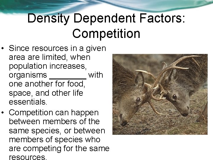 Density Dependent Factors: Competition • Since resources in a given area are limited, when