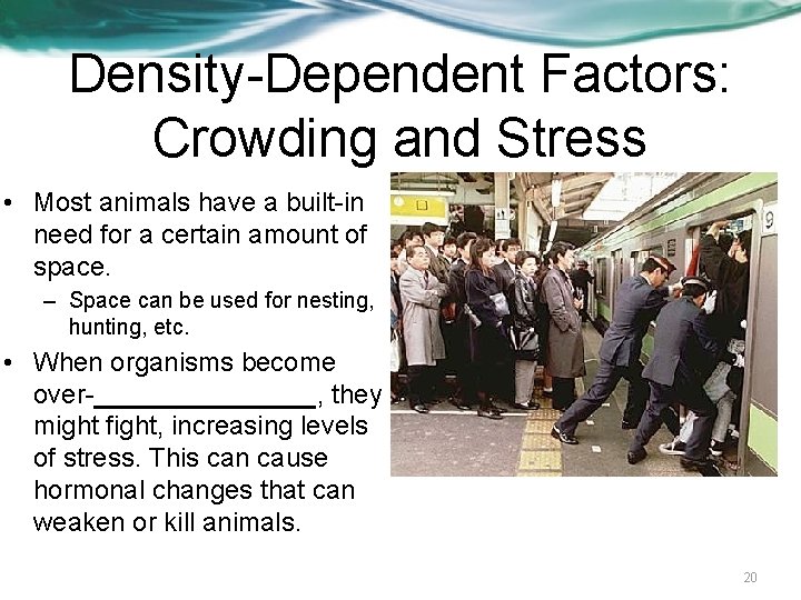 Density-Dependent Factors: Crowding and Stress • Most animals have a built-in need for a