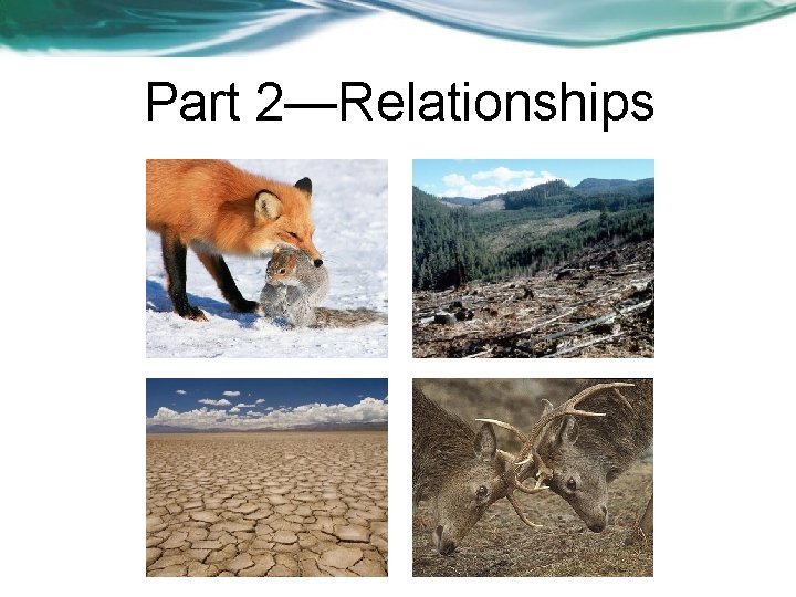 Part 2—Relationships 