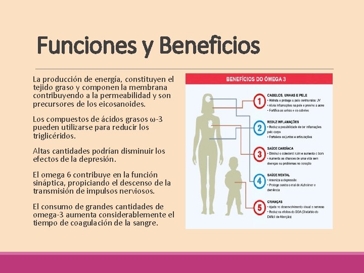 Funciones y Beneficios La producción de energía, constituyen el tejido graso y componen la