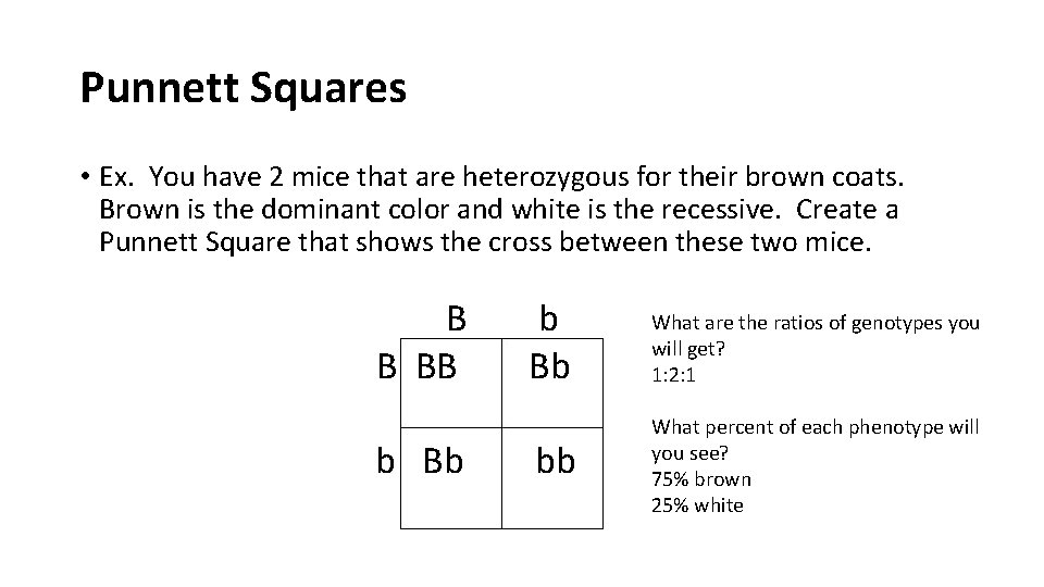 Punnett Squares • Ex. You have 2 mice that are heterozygous for their brown