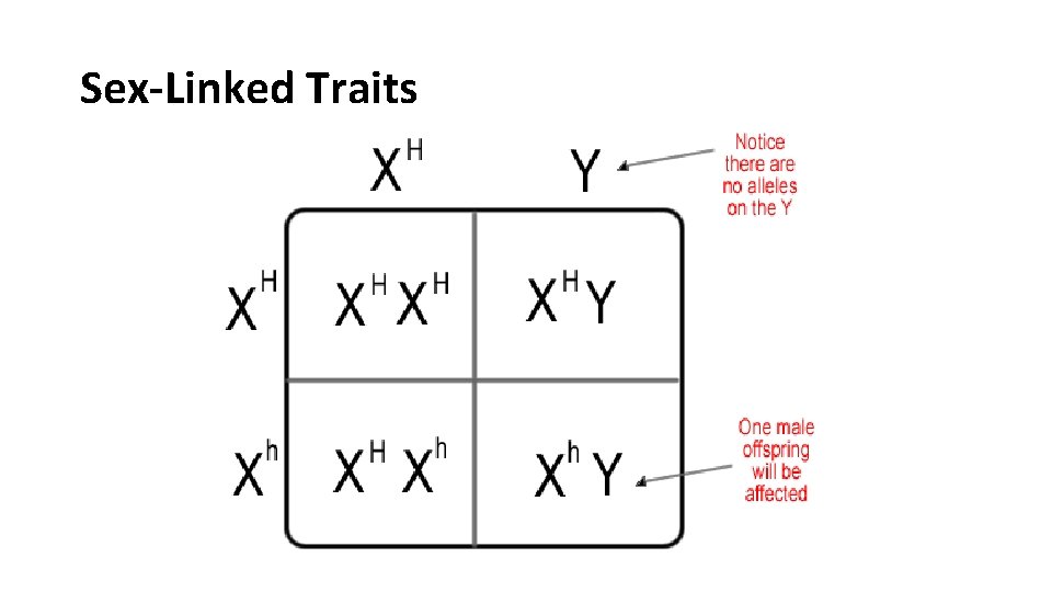 Sex-Linked Traits 