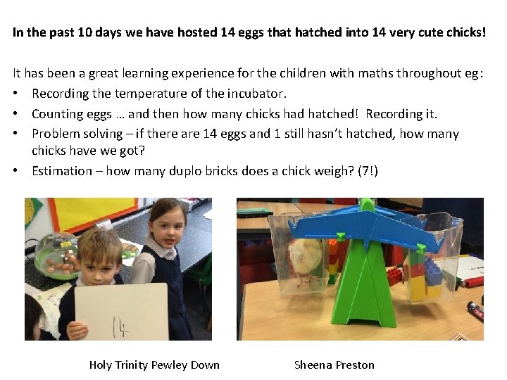 In the past 10 days we have hosted 14 eggs that hatched into 14 In the past 10 days we have hosted 14 eggs that hatched into 14