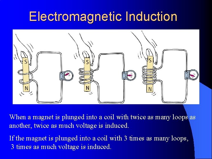 Electromagnetic Induction When a magnet is plunged into a coil with twice as many