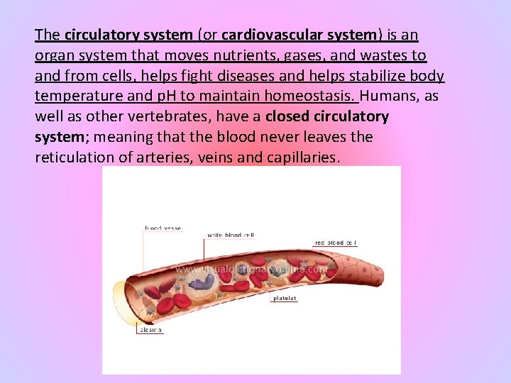 The circulatory system (or cardiovascular system) is an organ system that moves nutrients, gases,