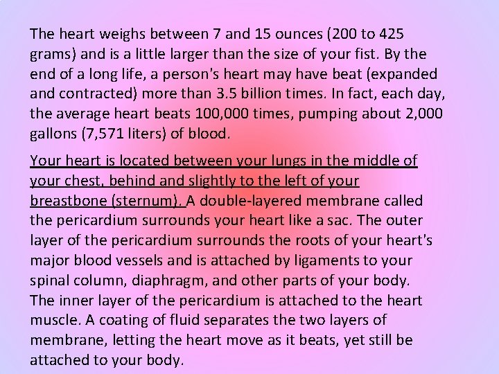 The heart weighs between 7 and 15 ounces (200 to 425 grams) and is