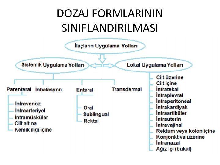 DOZAJ FORMLARININ SINIFLANDIRILMASI 