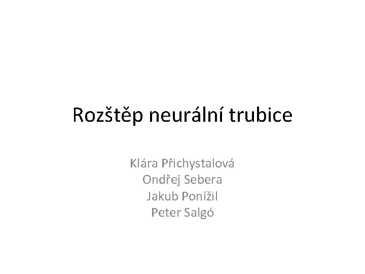 Rozštěp neurální trubice Klára Přichystalová Ondřej Sebera Jakub Ponížil Peter Salgó 