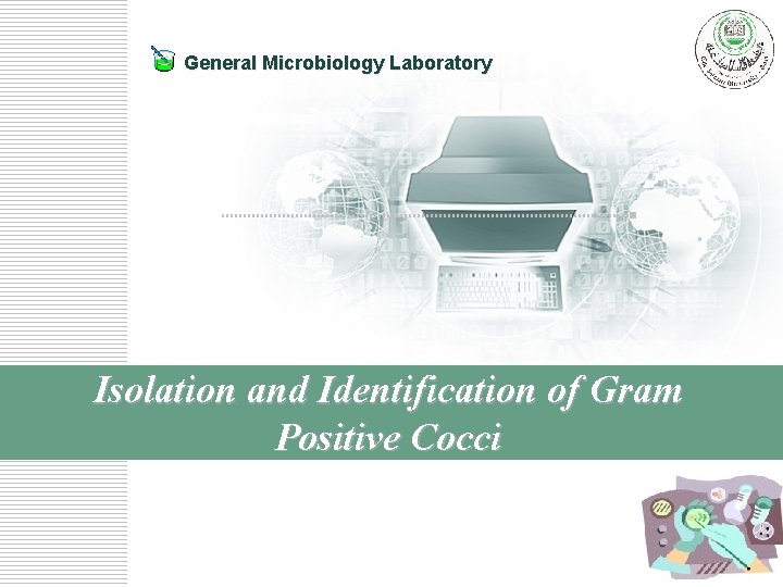 General Microbiology Laboratory Isolation and Identification of Gram Positive Cocci 