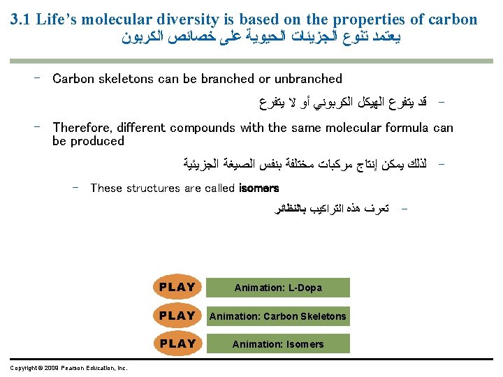 3. 1 Life’s molecular diversity is based on the properties of carbon ﻳﻌﺘﻤﺪ ﺗﻨﻮﻉ