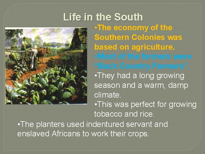 Life in the South • The economy of the Southern Colonies was based on