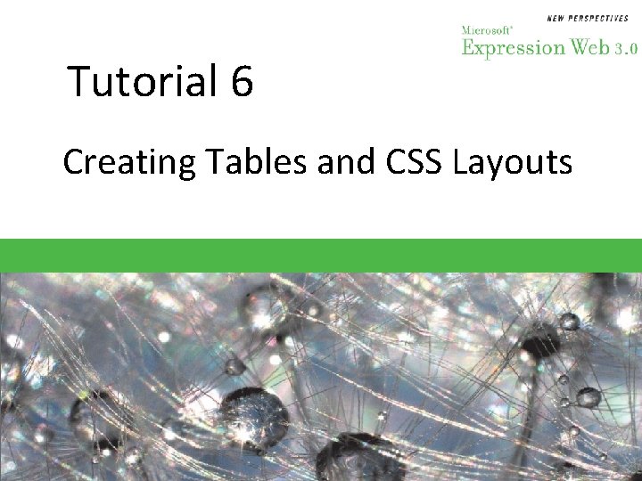 Tutorial 6 Creating Tables and CSS Layouts 