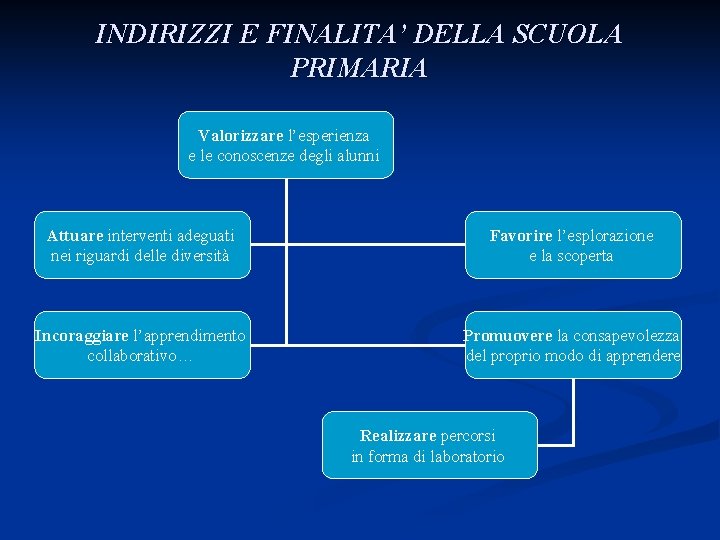 INDIRIZZI E FINALITA’ DELLA SCUOLA PRIMARIA Valorizzare l’esperienza e le conoscenze degli alunni Attuare