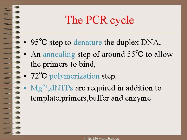 The PCR cycle • 95℃ step to denature the duplex DNA, • An annealing
