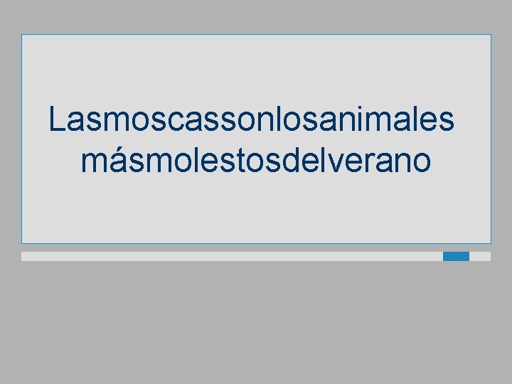 Lasmoscassonlosanimales másmolestosdelverano 