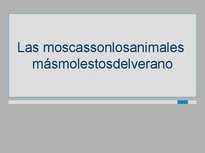 Las moscassonlosanimales másmolestosdelverano 