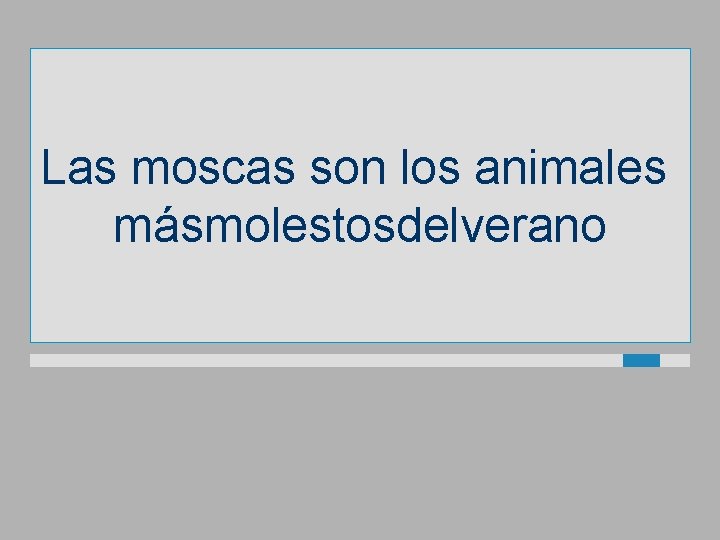 Las moscas son los animales másmolestosdelverano 