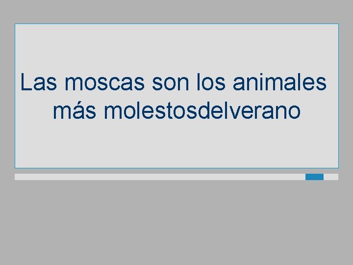 Las moscas son los animales más molestosdelverano 