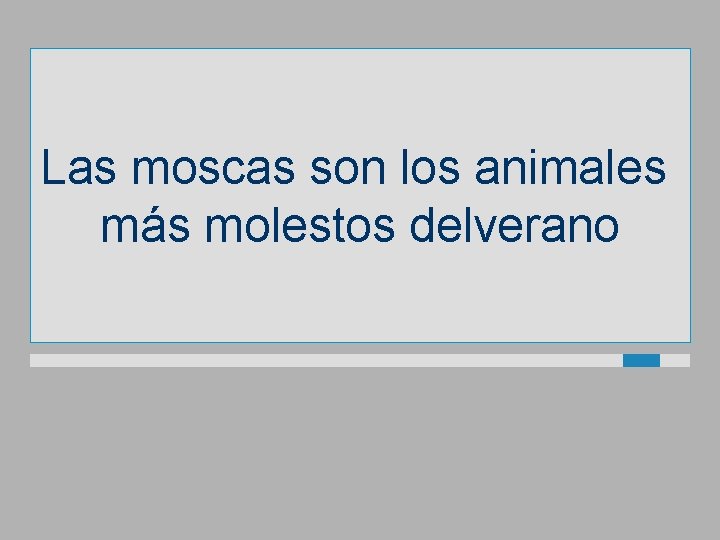 Las moscas son los animales más molestos delverano 