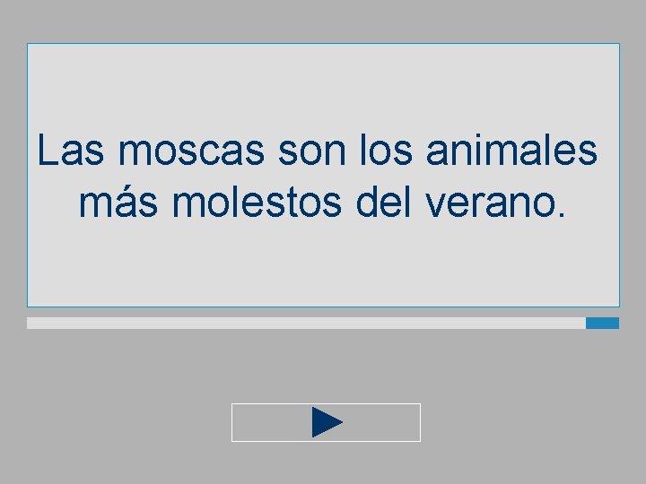 Las moscas son los animales más molestos del verano. 