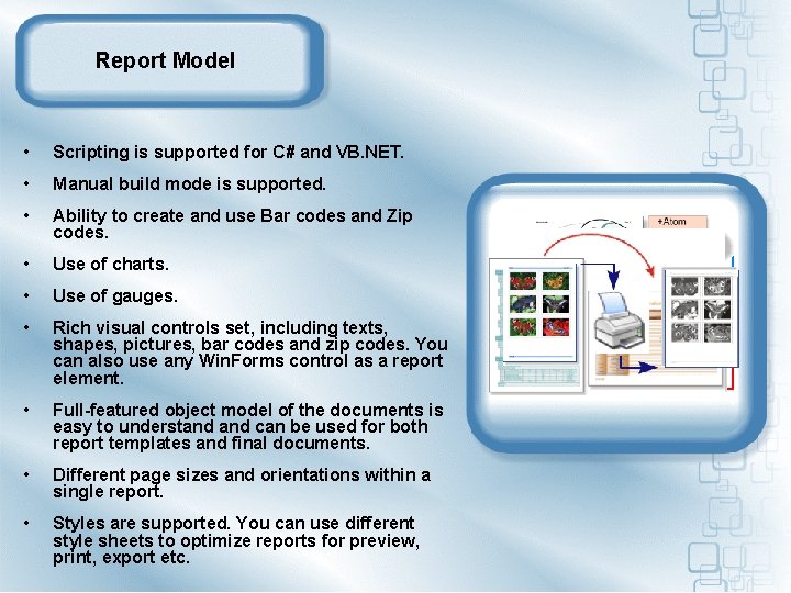 Report Model • Scripting is supported for C# and VB. NET. • Manual build
