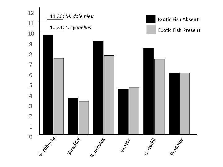 12 11. 36: M. dolemieu 11 Exotic Fish Absent 10. 34: L. cyanellus 10