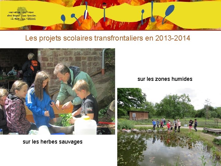 Les projets scolaires transfrontaliers en 2013 -2014 sur les zones humides sur les herbes