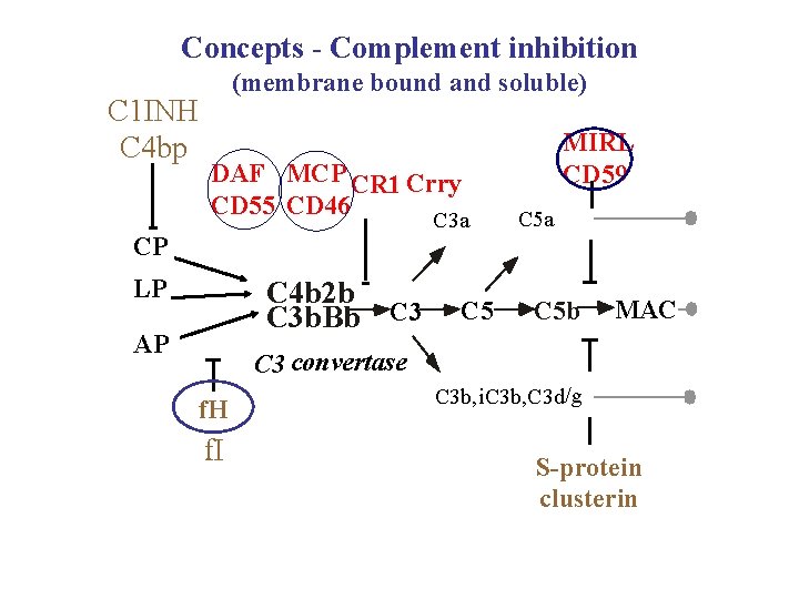 Concepts - Complement inhibition C 1 INH C 4 bp (membrane bound and soluble)