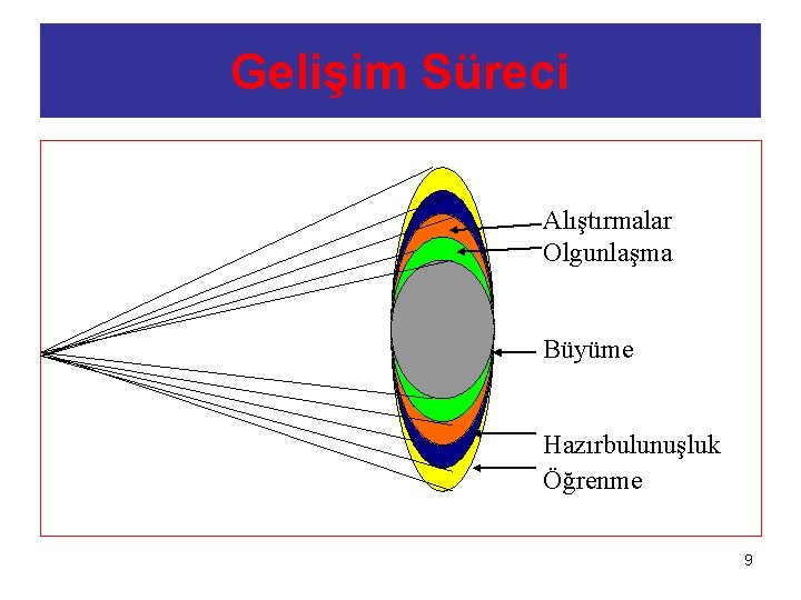 Gelişim Süreci Alıştırmalar Olgunlaşma Büyüme Hazırbulunuşluk Öğrenme 9 