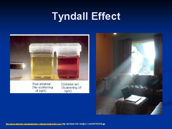 Tyndall Effect http: //image. tutorvista. com/content/surface-chemistry/tyndall-effect. jpeg; http: //qfichennai. files. wordpress. com/2009/06/363 b. jpg