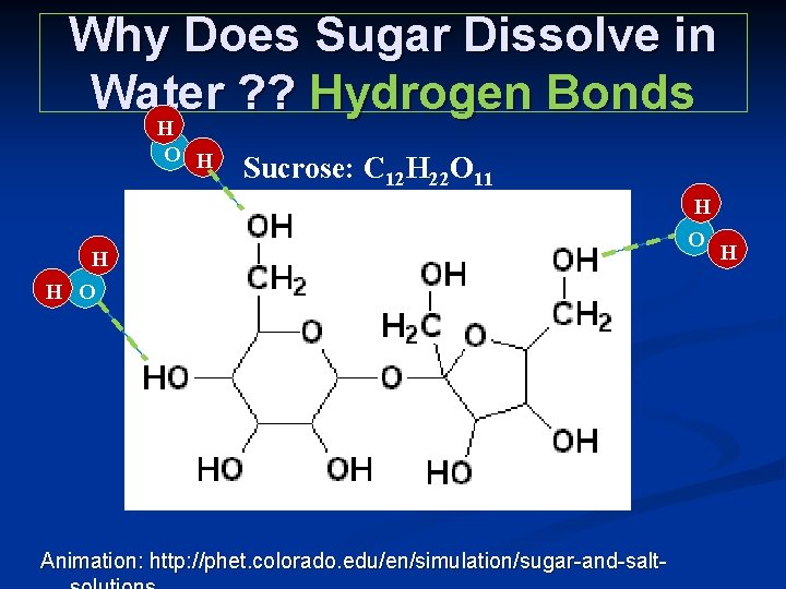 Why Does Sugar Dissolve in Water ? ? Hydrogen Bonds H O H Sucrose: