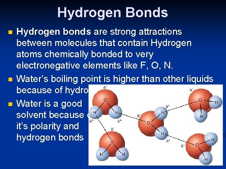 Hydrogen Bonds n n n Hydrogen bonds are strong attractions between molecules that contain