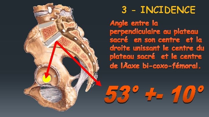 3 - INCIDENCE Angle entre la perpendiculaire au plateau sacré en son centre et