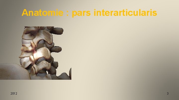 Anatomie : pars interarticularis 2012 3 