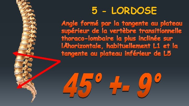 5 - LORDOSE Angle formé par la tangente au plateau supérieur de la vertèbre