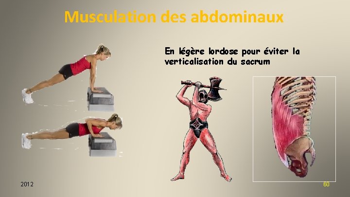 Musculation des abdominaux En légère lordose pour éviter la verticalisation du sacrum 2012 60