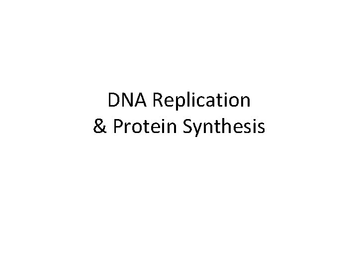 DNA Replication & Protein Synthesis 