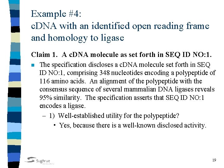Example #4: c. DNA with an identified open reading frame and homology to ligase