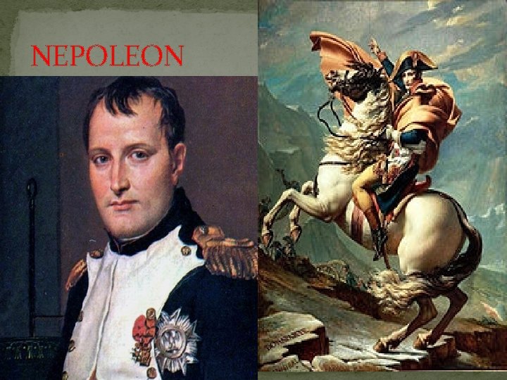 NEPOLEON 