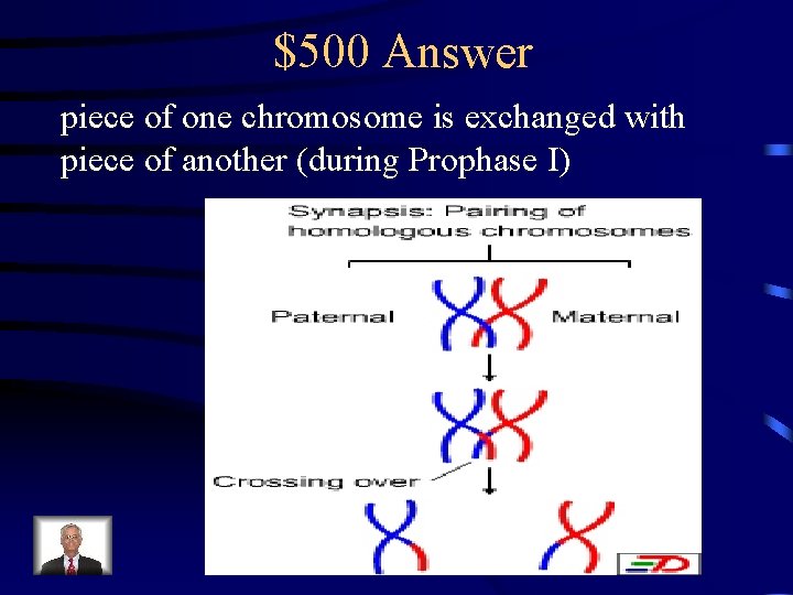 $500 Answer piece of one chromosome is exchanged with piece of another (during Prophase