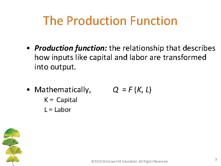 Chapter 8 Production Chapter Outline The InputOutput Relationship