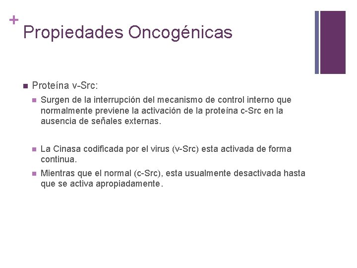 + Propiedades Oncogénicas n Proteína v-Src: n Surgen de la interrupción del mecanismo de