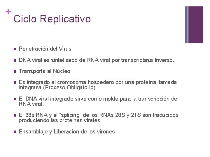 + Ciclo Replicativo n Penetración del Virus n DNA viral es sintetizado de RNA