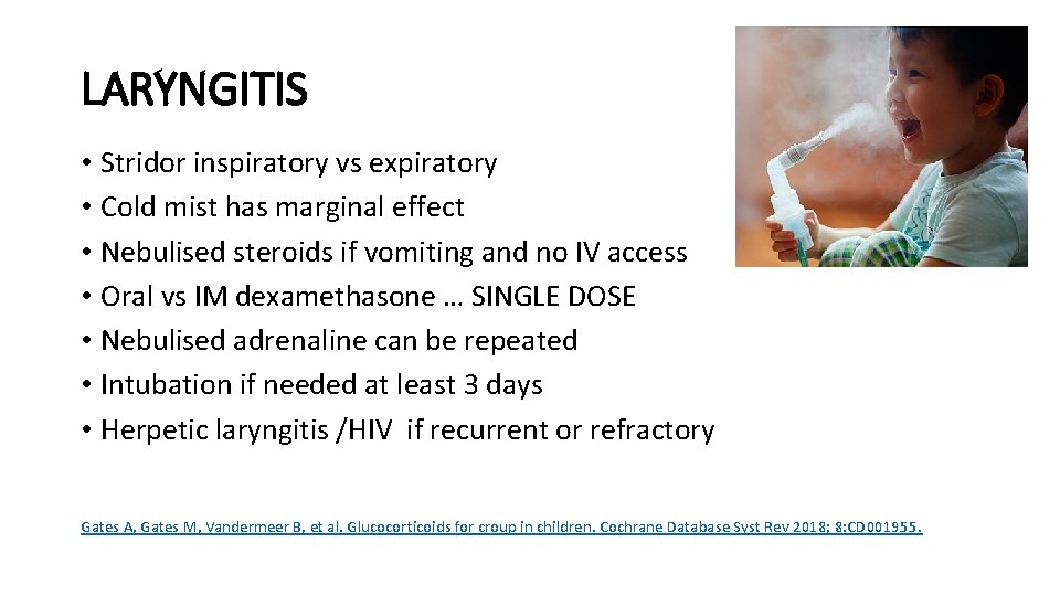 LARYNGITIS • Stridor inspiratory vs expiratory • Cold mist has marginal effect • Nebulised