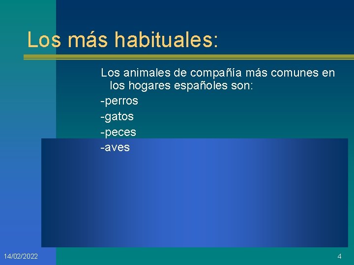 Los más habituales: Los animales de compañía más comunes en los hogares españoles son: