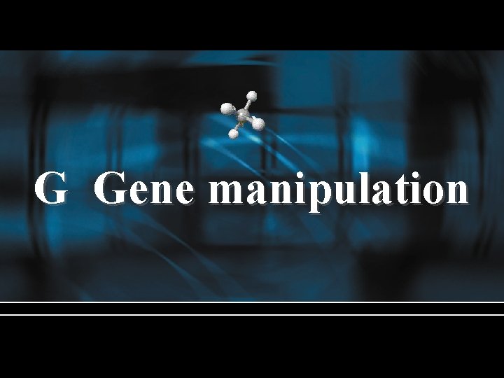 G Gene manipulation 