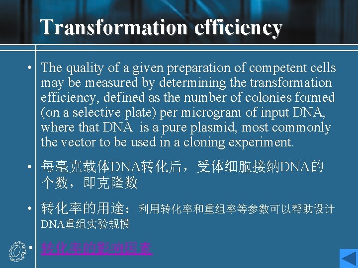 Transformation efficiency • The quality of a given preparation of competent cells may be