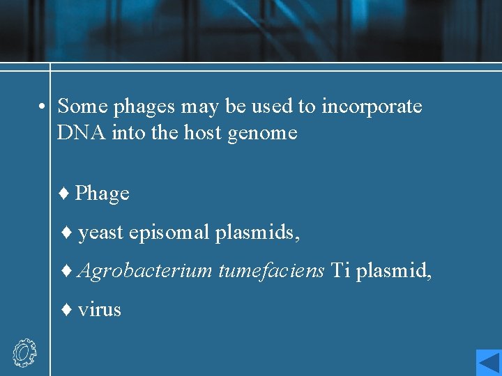  • Some phages may be used to incorporate DNA into the host genome