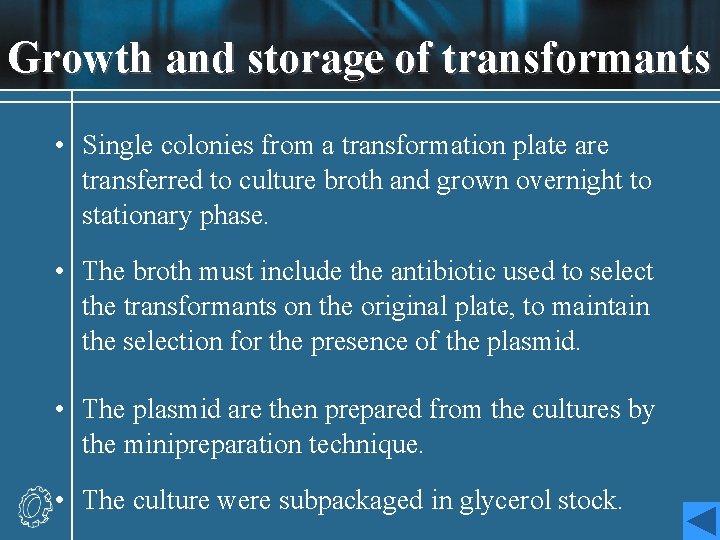 Growth and storage of transformants • Single colonies from a transformation plate are transferred