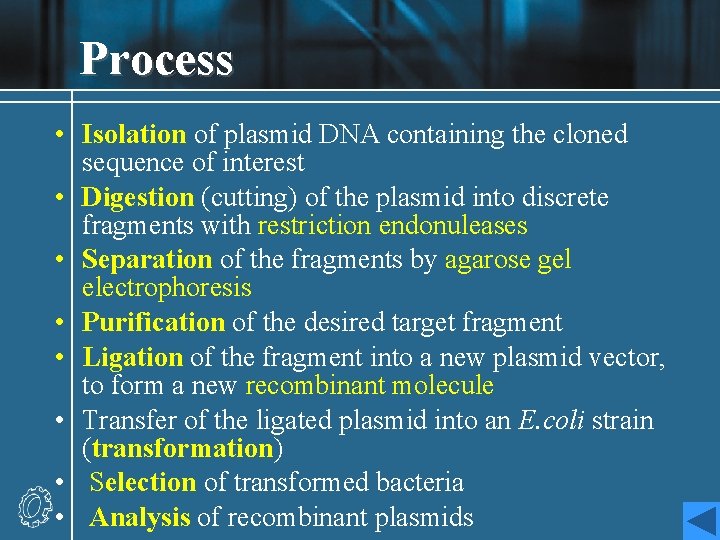 Process • Isolation of plasmid DNA containing the cloned sequence of interest • Digestion